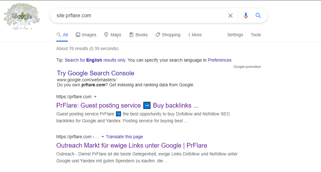 Как проверить, появился ли сайт в индексе Googlebots?